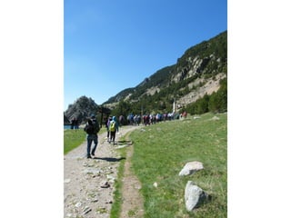 Cdsíntesi planoles2014