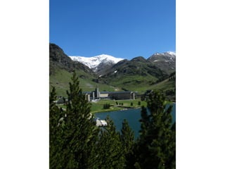 Cdsíntesi planoles2014