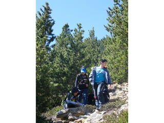 Cdsíntesi planoles2014