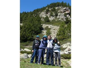 Cdsíntesi planoles2014