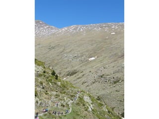 Cdsíntesi planoles2014