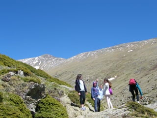 Cdsíntesi planoles2014