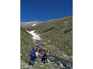 Cdsíntesi planoles2014