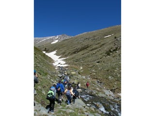 Cdsíntesi planoles2014