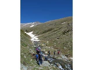 Cdsíntesi planoles2014