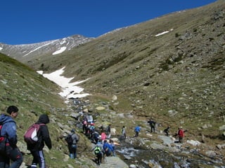 Cdsíntesi planoles2014