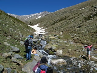 Cdsíntesi planoles2014