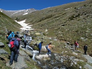 Cdsíntesi planoles2014