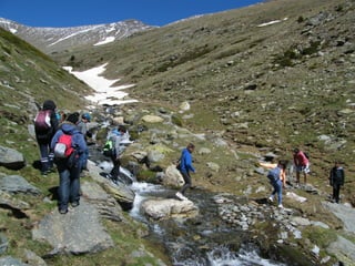 Cdsíntesi planoles2014