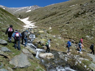 Cdsíntesi planoles2014