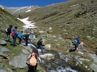 Cdsíntesi planoles2014