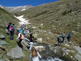 Cdsíntesi planoles2014