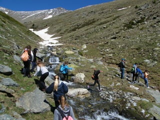 Cdsíntesi planoles2014