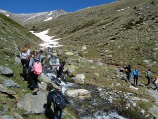 Cdsíntesi planoles2014