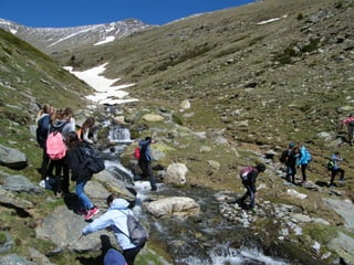 Cdsíntesi planoles2014