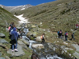 Cdsíntesi planoles2014