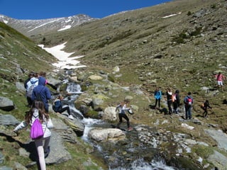 Cdsíntesi planoles2014