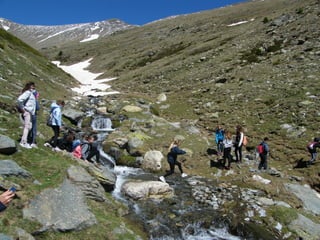 Cdsíntesi planoles2014