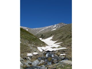 Cdsíntesi planoles2014