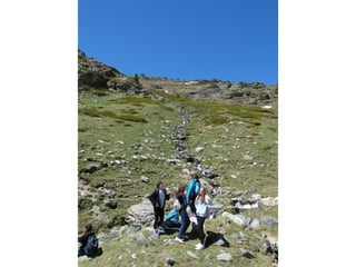 Cdsíntesi planoles2014