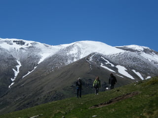 Cdsíntesi planoles2014