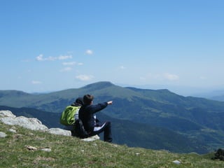 Cdsíntesi planoles2014