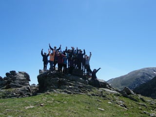 Cdsíntesi planoles2014