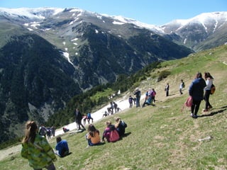 Cdsíntesi planoles2014