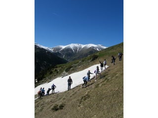 Cdsíntesi planoles2014