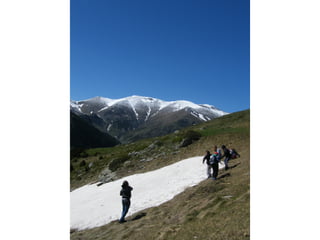 Cdsíntesi planoles2014