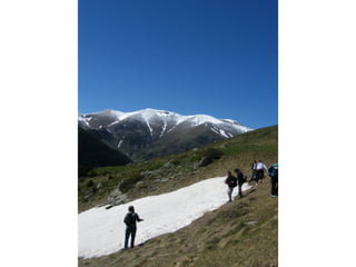 Cdsíntesi planoles2014