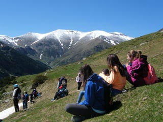 Cdsíntesi planoles2014