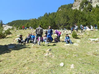 Cdsíntesi planoles2014