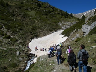 Cdsíntesi planoles2014