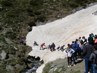 Cdsíntesi planoles2014