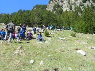 Cdsíntesi planoles2014