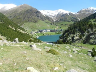 Cdsíntesi planoles2014