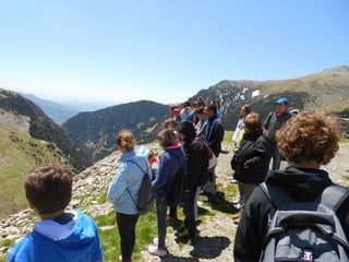 Cdsíntesi planoles2014