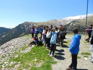 Cdsíntesi planoles2014