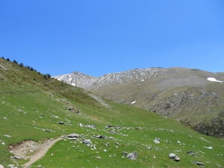 Cdsíntesi planoles2014