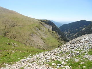 Cdsíntesi planoles2014