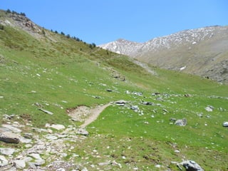 Cdsíntesi planoles2014