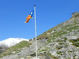 Cdsíntesi planoles2014