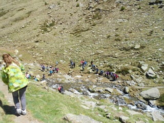 Cdsíntesi planoles2014