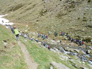 Cdsíntesi planoles2014