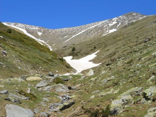 Cdsíntesi planoles2014