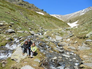 Cdsíntesi planoles2014