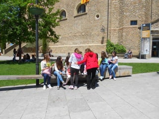 Cdsíntesi planoles2014