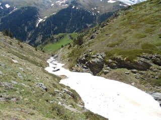 Cdsíntesi planoles2014