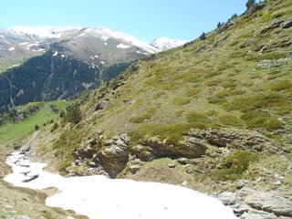 Cdsíntesi planoles2014